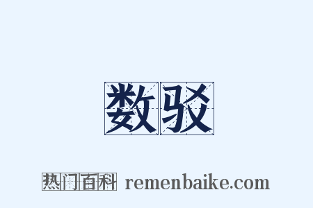 数驳是什么意思的图片